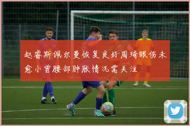 赵睿斯佩尔曼恢复良好周琦眼伤未愈小曾腰部肿胀情况需关注